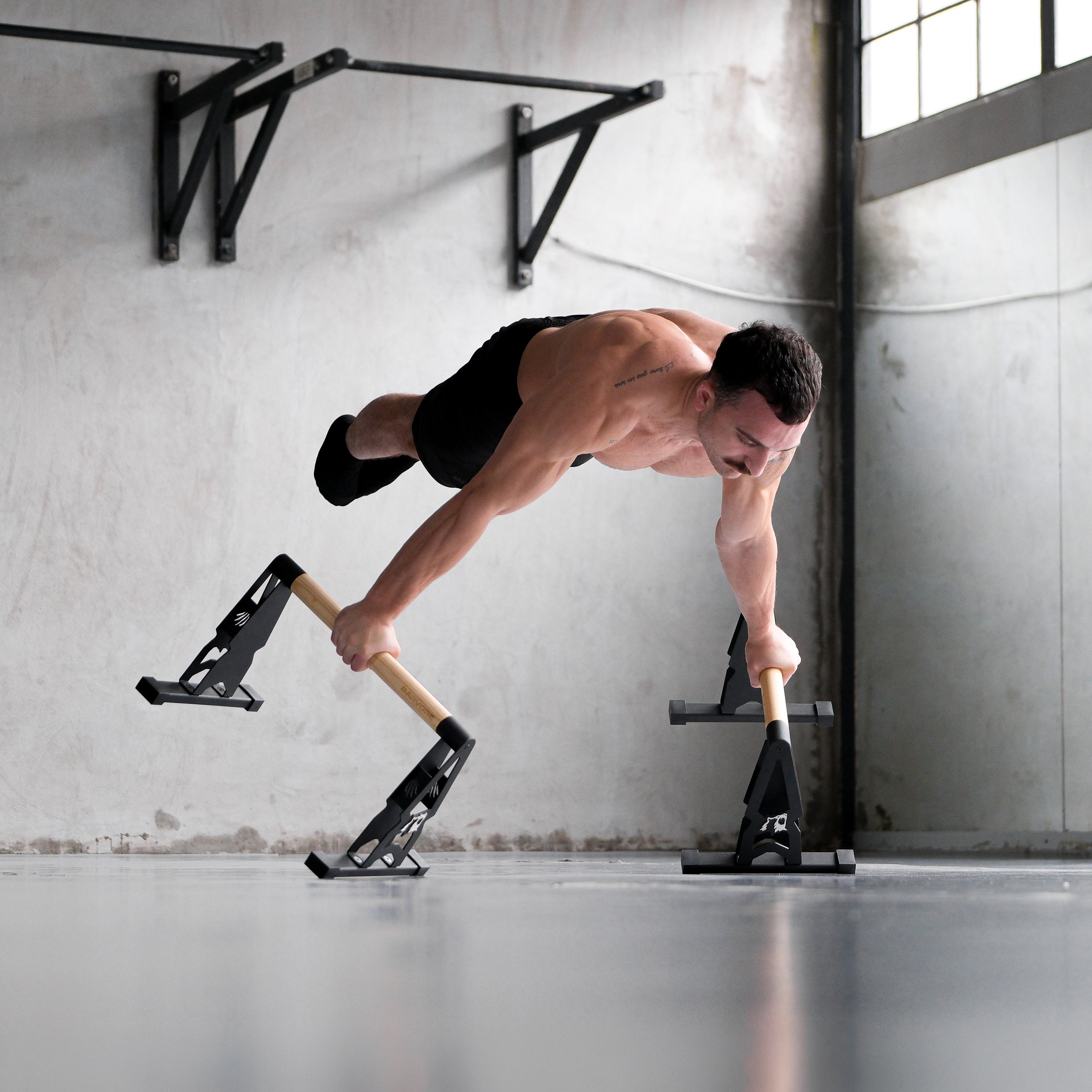 BIG BEAR PARALEL BAR