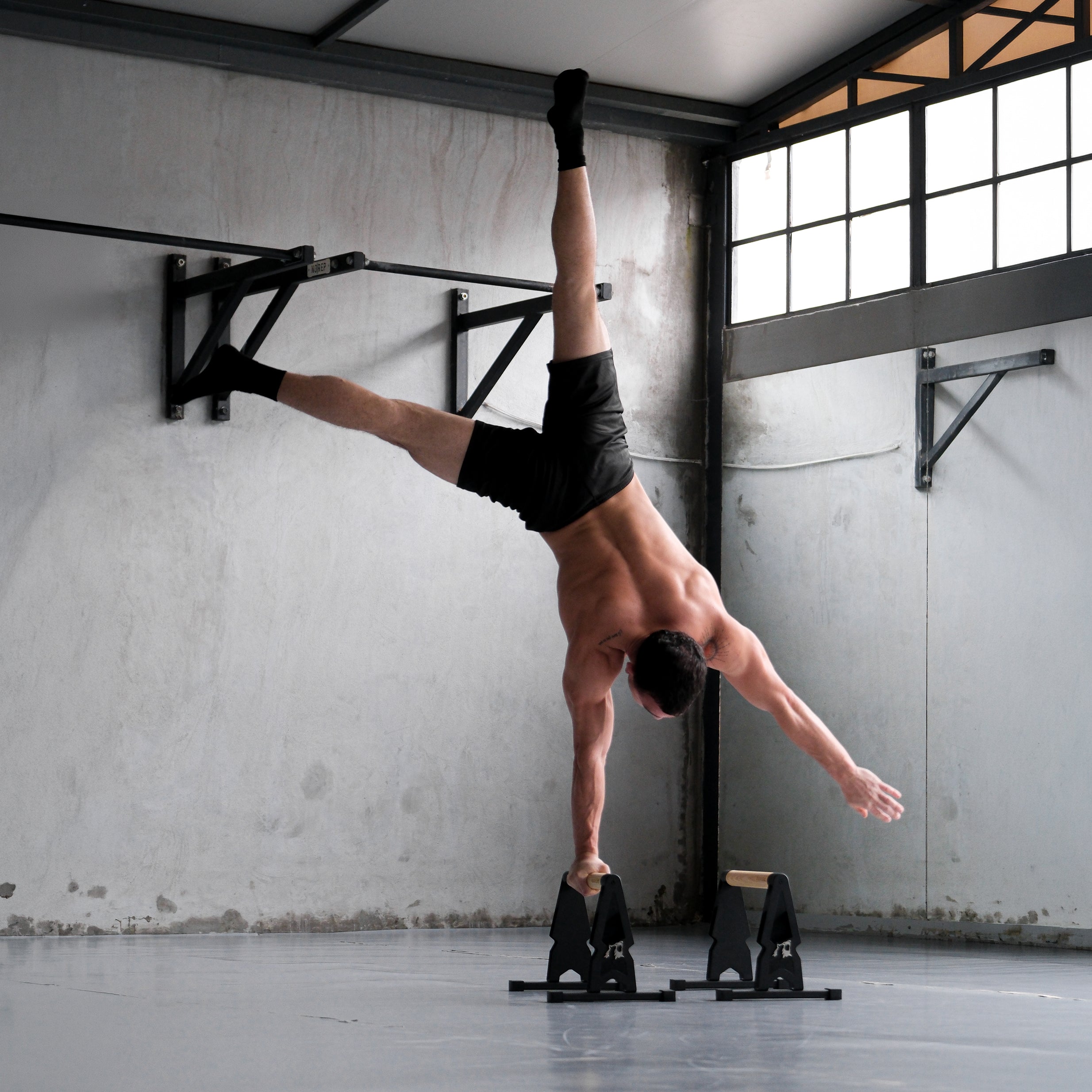 BIG BEAR PARALEL BAR