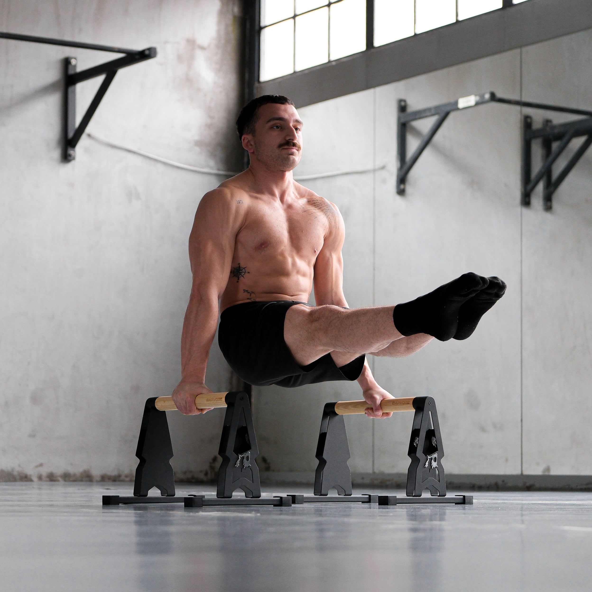 BIG BEAR PARALEL BAR